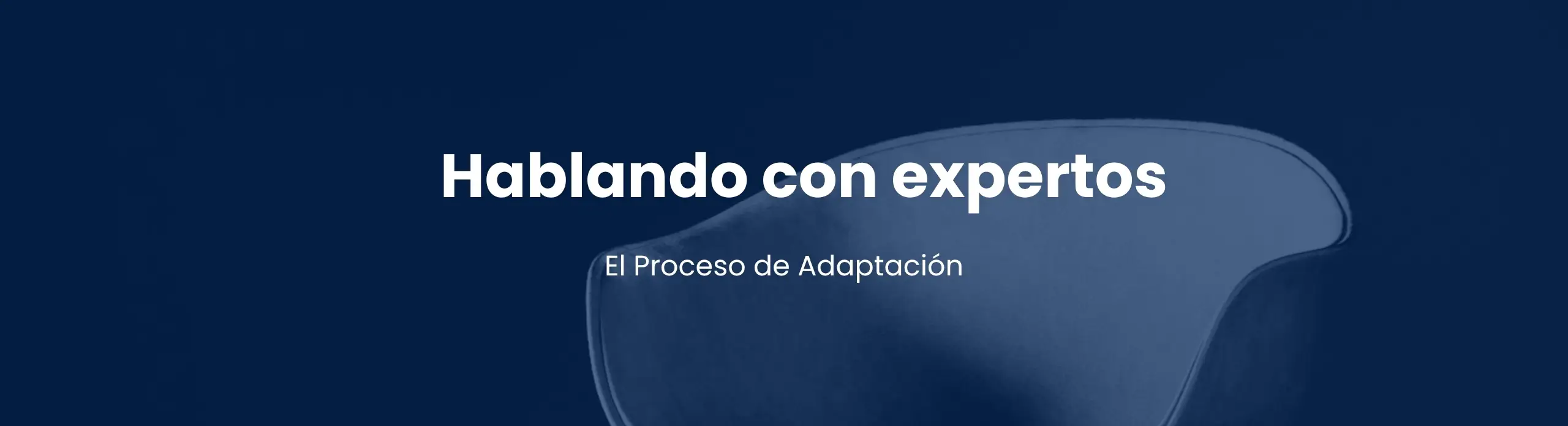 El proceso de adaptación - hablando con expertos - concepcionistas