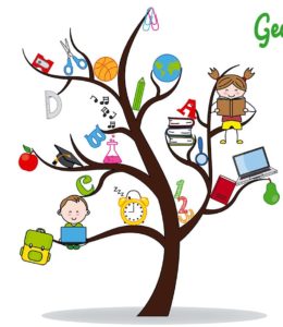 árbol educación personalizada